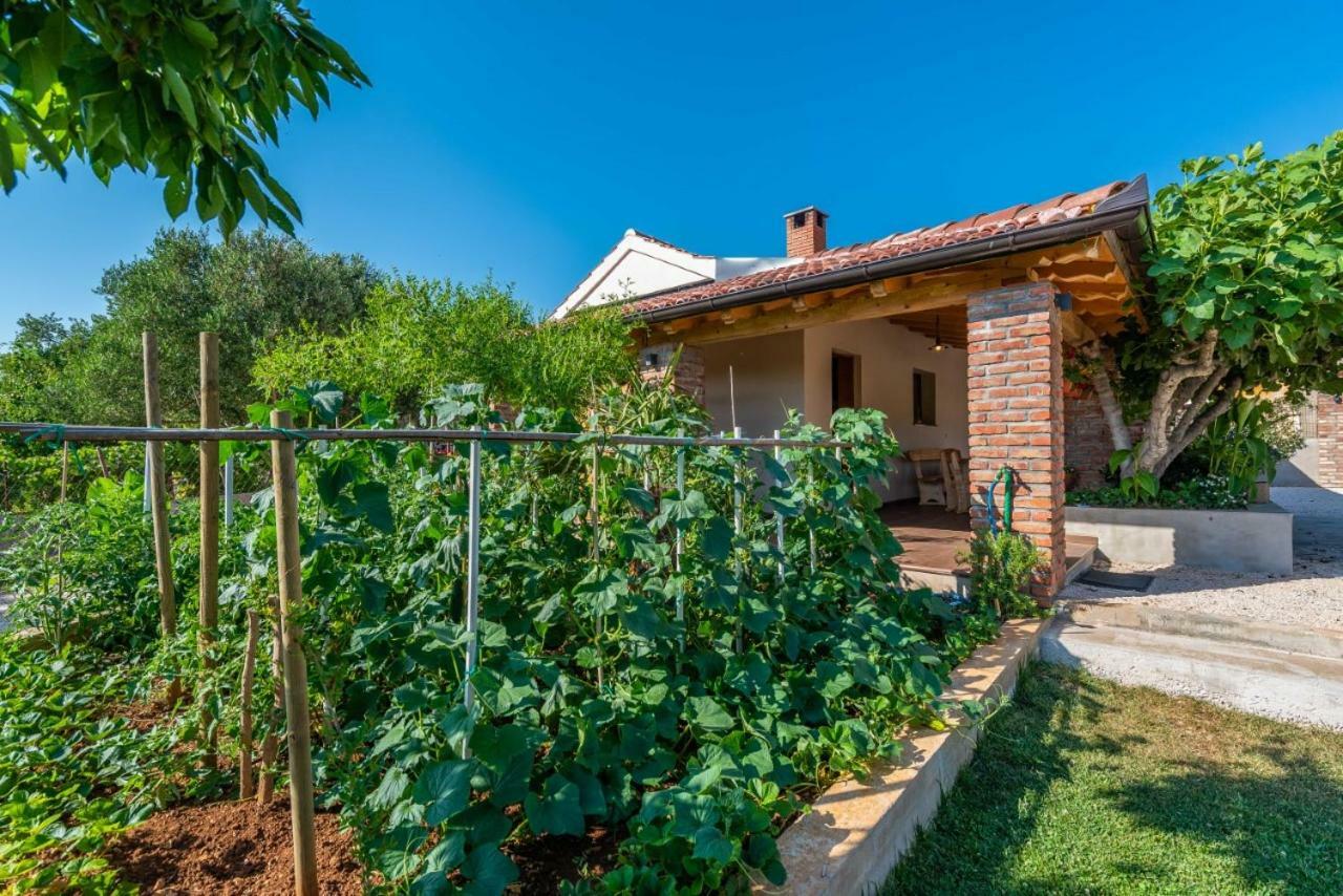Villa Navita Augustinus With Pool Debeljak Kültér fotó